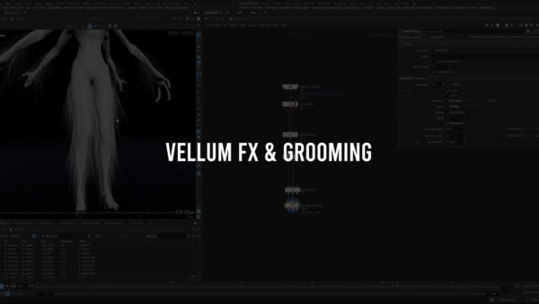 图片[7]-[Ai精翻+中文朗读】Voxyde出品Houdini环境&生物特效-土狗cg资源站