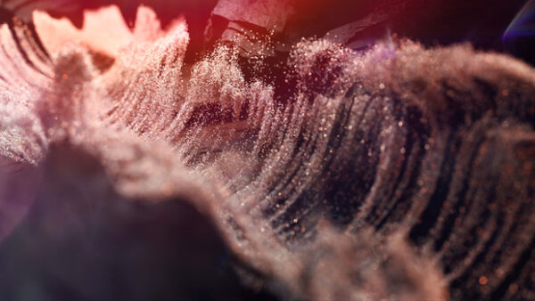 图片[4]-【ai精翻+中文朗读】惊艳c4d动效Bihhel频道-土狗cg资源站