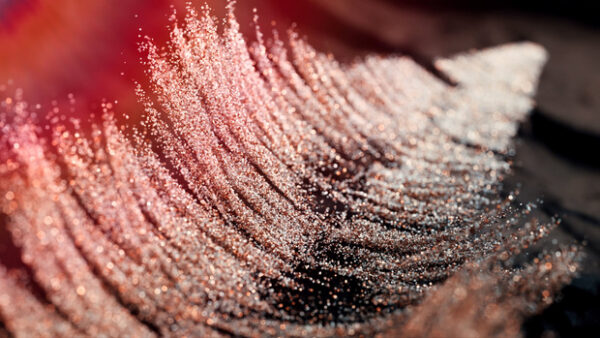 图片[6]-【ai精翻+中文朗读】惊艳c4d动效Bihhel频道-土狗cg资源站