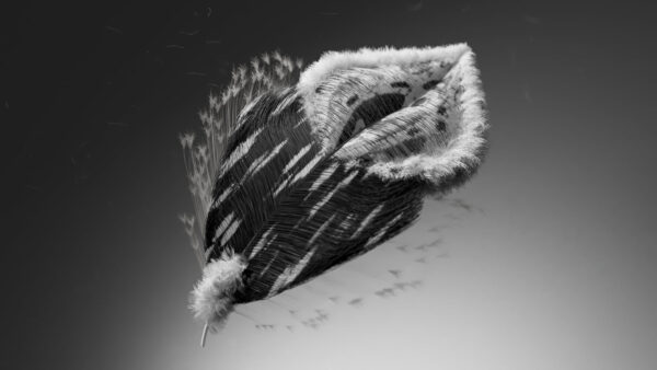 图片[2]-【ai精翻+中文朗读】惊艳c4d动效Bihhel频道-土狗cg资源站