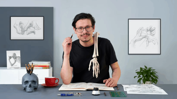 图片[1]-【ai精翻】四肢、手和脚的解剖图-土狗cg资源站