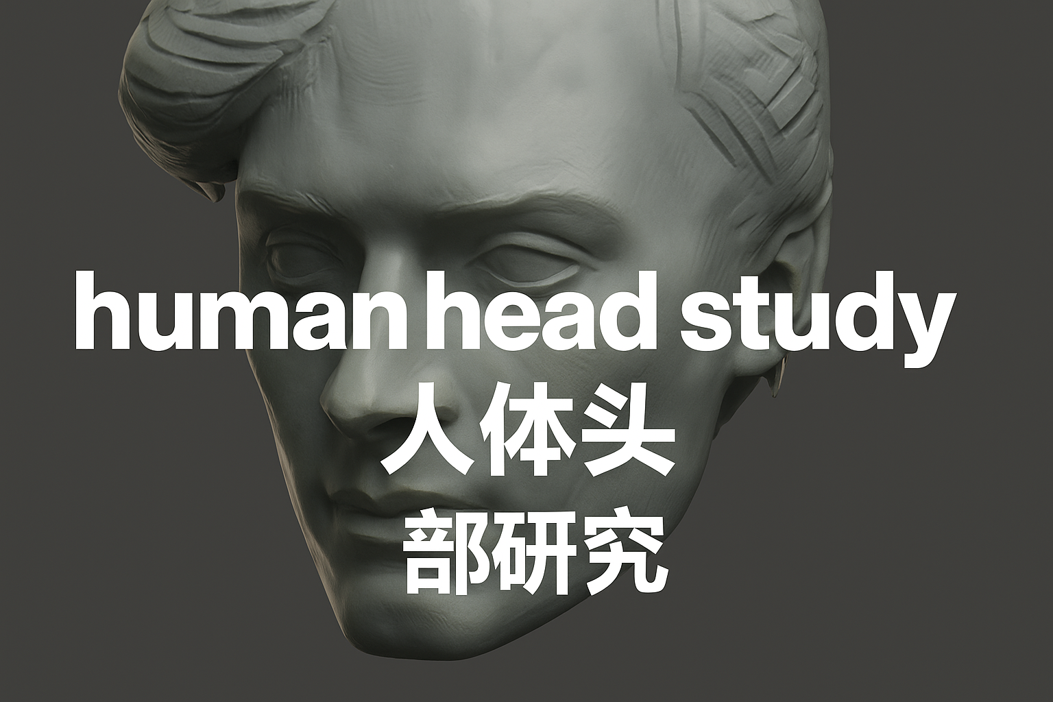 【ai精翻+朗读】Zbrush 头部雕刻研究工坊-土狗cg资源站