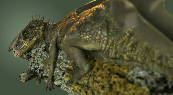 图片[1]-【ai精翻】恐龙建模与纹理制作-土狗cg资源站