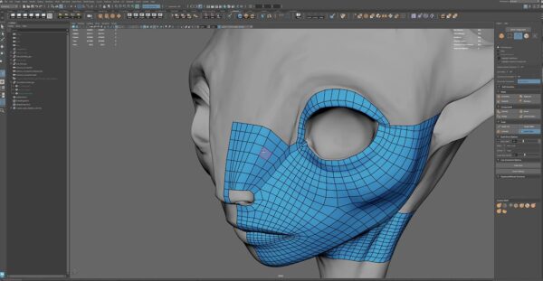 图片[5]-进度10/16【ai精翻+朗读】Maya&Zb&Houdini影视级生物角色全流程-土狗cg资源站