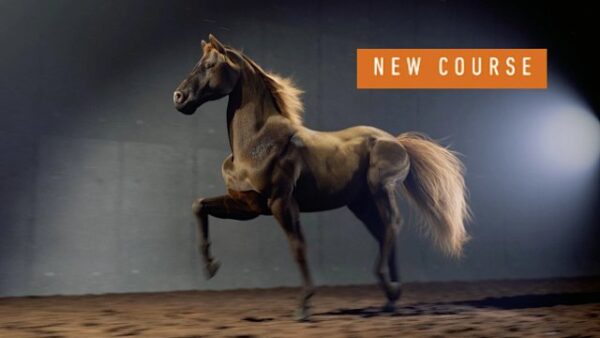 图片[1]-[Ai精翻&Ai中文配音] Rebelway新课-Houdini中Apex与Kinefx实现写实生物绑定-土狗cg资源站