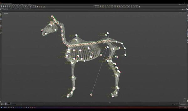 图片[7]-[Ai精翻&Ai中文配音] Rebelway新课-Houdini中Apex与Kinefx实现写实生物绑定-土狗cg资源站