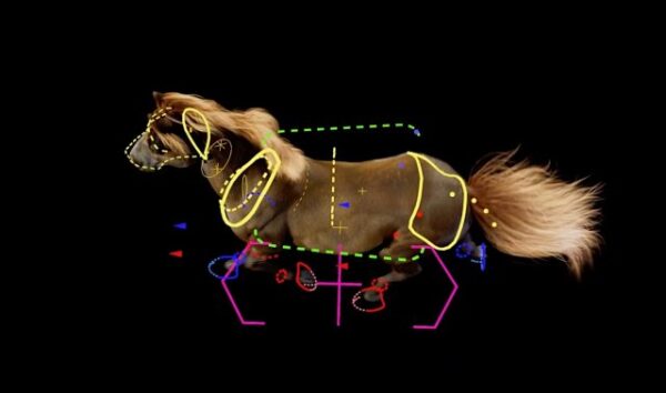 图片[9]-[Ai精翻&Ai中文配音] Rebelway新课-Houdini中Apex与Kinefx实现写实生物绑定-土狗cg资源站