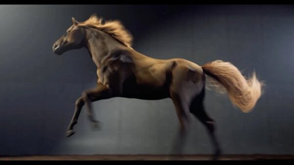 图片[10]-[Ai精翻&Ai中文配音] Rebelway新课-Houdini中Apex与Kinefx实现写实生物绑定-土狗cg资源站