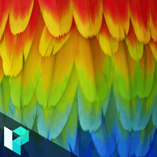 【ai精翻】羽毛创作-土狗cg资源站