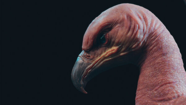 图片[2]-【Ai精翻&中文朗读】Maya Yeti鸟类羽毛应用系统全解-土狗cg资源站