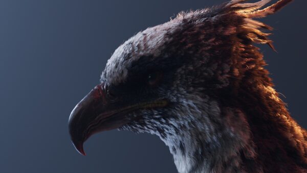 图片[3]-【Ai精翻&中文朗读】Maya Yeti鸟类羽毛应用系统全解-土狗cg资源站