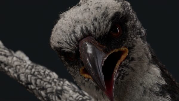 图片[9]-【Ai精翻&中文朗读】Maya Yeti鸟类羽毛应用系统全解-土狗cg资源站