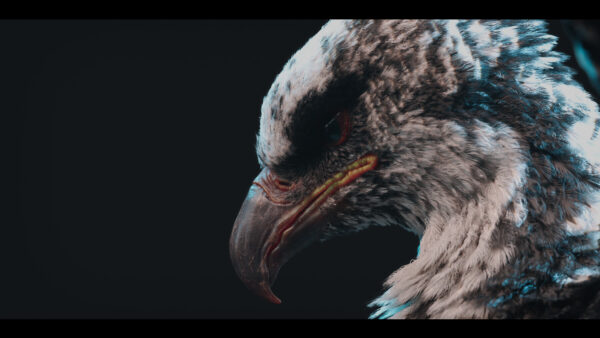 图片[10]-【Ai精翻&中文朗读】Maya Yeti鸟类羽毛应用系统全解-土狗cg资源站