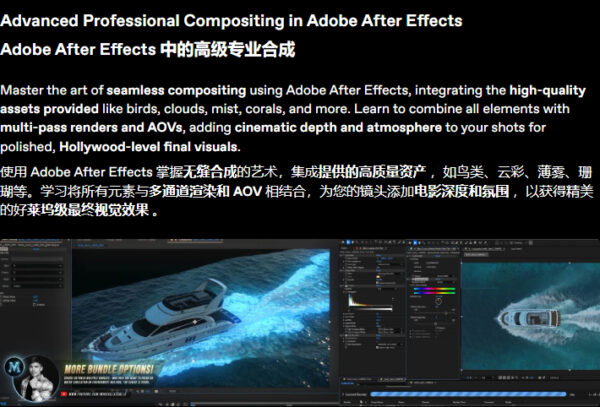 图片[5]-【Ai精翻&中文朗读】(钻石免费)Houdini&UE&AE水上游艇特效合成-土狗cg资源站