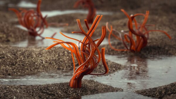 图片[14]-[更新到25年8月]c4d&oc&xp作者Ozan Gonen会员频道-土狗cg资源站