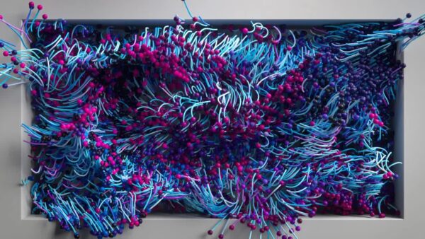 图片[3]-[更新到25年8月]c4d&oc&xp作者Ozan Gonen会员频道-土狗cg资源站