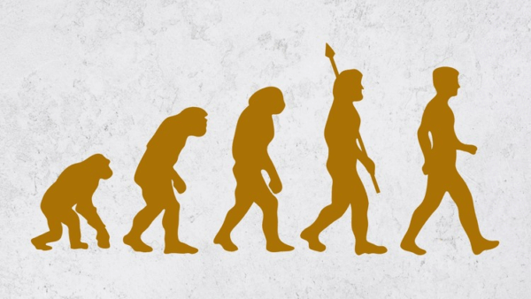 图片[1]-【ai精翻】平面设计史与理论-土狗cg资源站