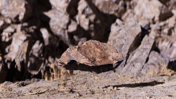 图片[1]-【ai精翻】掌握 3D 扫描专业工作流程 – Blender、Maya 和 Unreal-土狗cg资源站