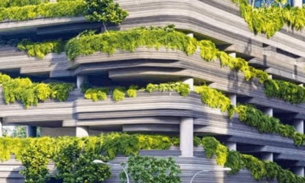 图片[1]-【ai精翻】Dynamo认证课程：精通Revit参数化设计-土狗cg资源站