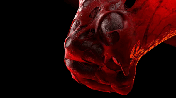 图片[7]-【ai精翻&中文配音】林克精翻:houdini超帅血肉传送门-土狗cg资源站