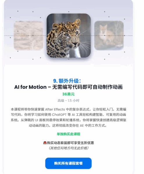 图片[12]-【ai精翻&中文朗读】ae超级大礼包11合1-土狗cg资源站