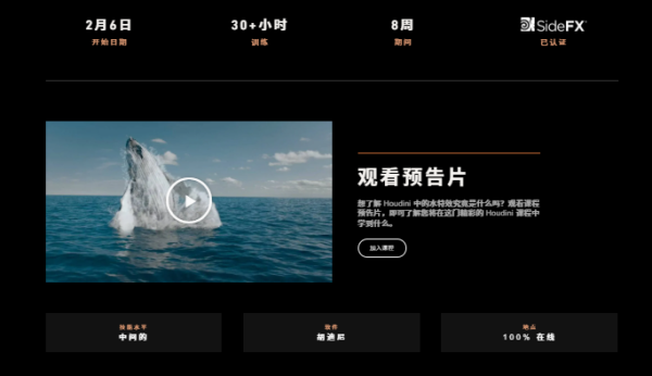 图片[2]-【ai精翻】Rebelway出品–Houdini 中的水特效（会员免费）-土狗cg资源站