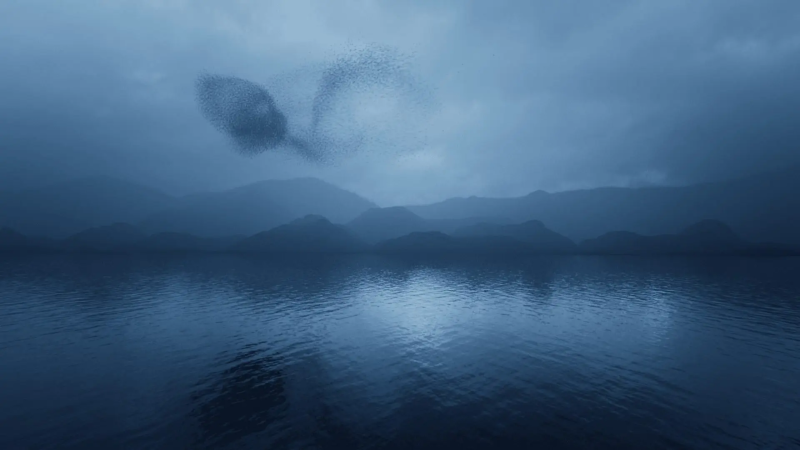 （会员免费）Rebelway出品–在 Houdini 中进行鸟群模拟和渲染-土狗cg资源站