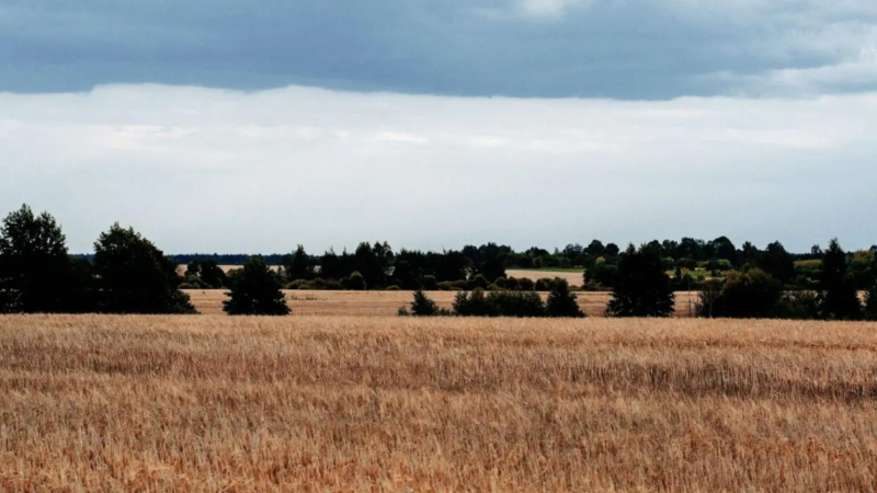 （会员免费）Rebelway出品–Karma中的动画麦田-土狗cg资源站