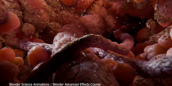 图片[8]-【限时补票价】Blender中的高级特效-土狗cg资源站