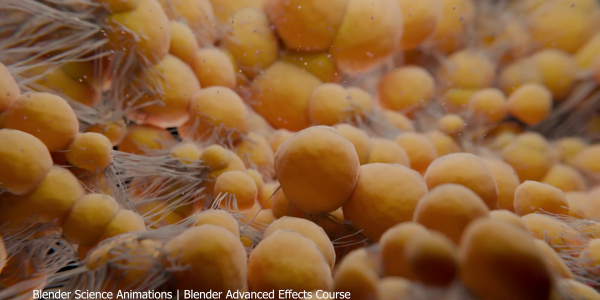 图片[10]-【限时补票价】Blender中的高级特效-土狗cg资源站