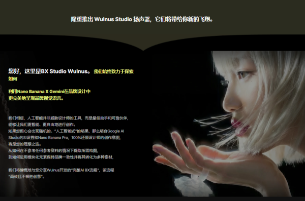 图片[6]-【限时补票价】NanoBanana&Gemini品牌关键词可视化-土狗cg资源站