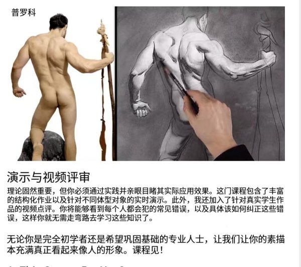 图片[5]-A032-Proko祖师爷级人体素描-精校版-土狗cg资源站