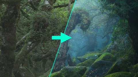 【ai精翻】黑暗森林中的四季 – 风景摄影编辑-土狗cg资源站