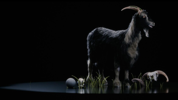 【ai精翻】Houdini 中的 Vellum 毛发模拟-土狗cg资源站