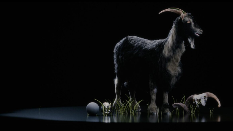 【ai精翻】Houdini 中的 Vellum 毛发模拟-土狗cg资源站