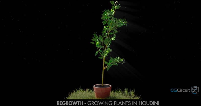 【ai精翻】再生 - 胡迪尼中的植物生长-土狗cg资源站