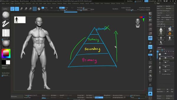 图片[4]-【Ai精翻&Ai中文配音】Zbrush人体雕塑精研·古典艺术原则与形体-土狗cg资源站