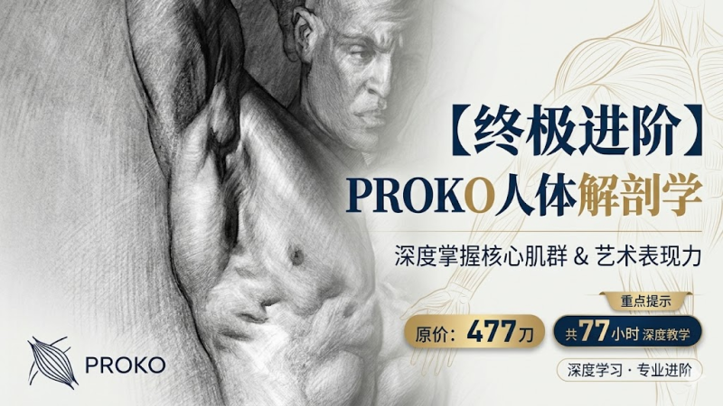 L036-[终极进阶】Proko人体解剖学-土狗cg资源站