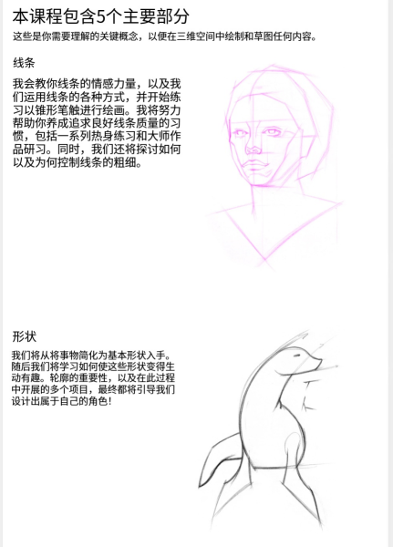 图片[4]-L039-Proko零基础入门绘画-土狗cg资源站