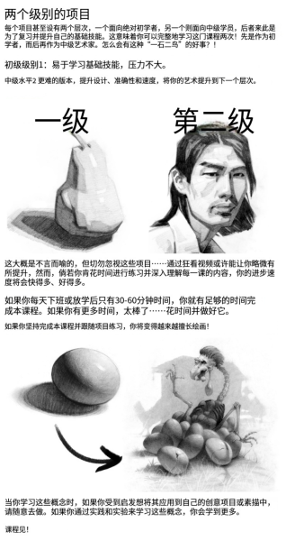 图片[7]-L039-Proko零基础入门绘画-土狗cg资源站